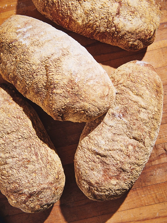 Ciabatta bread